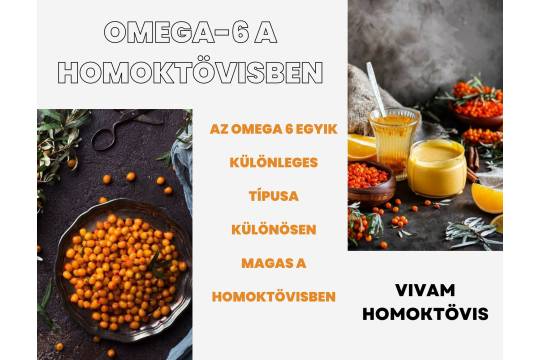 Omega-zsírsavakban gazdag homoktövis